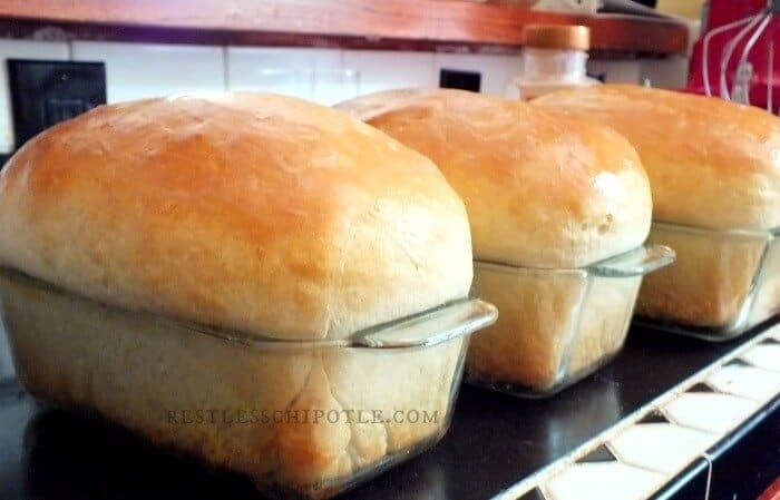 Three loaves of homemade white bread, golden brown and ready to be sliced.