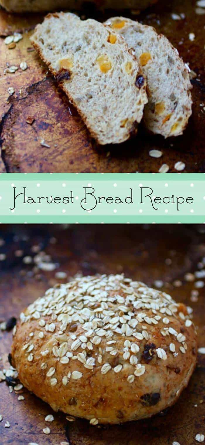 Harvest Bread Dried Fruit, Nuts, & Whole Grains Restless Chipotle