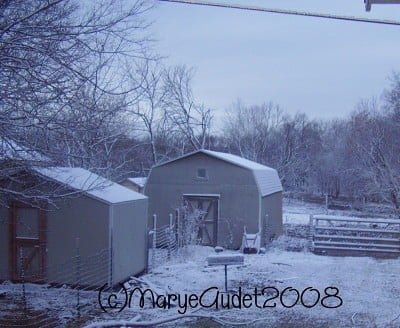 winter barn scene
