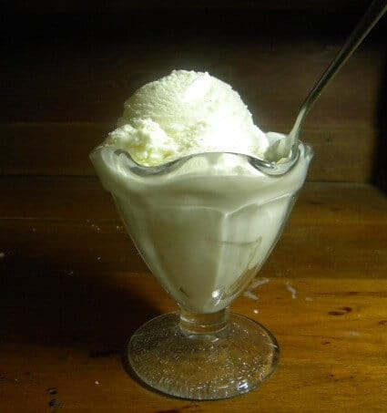Homemade french vanilla ice cream in a glass. ice cream