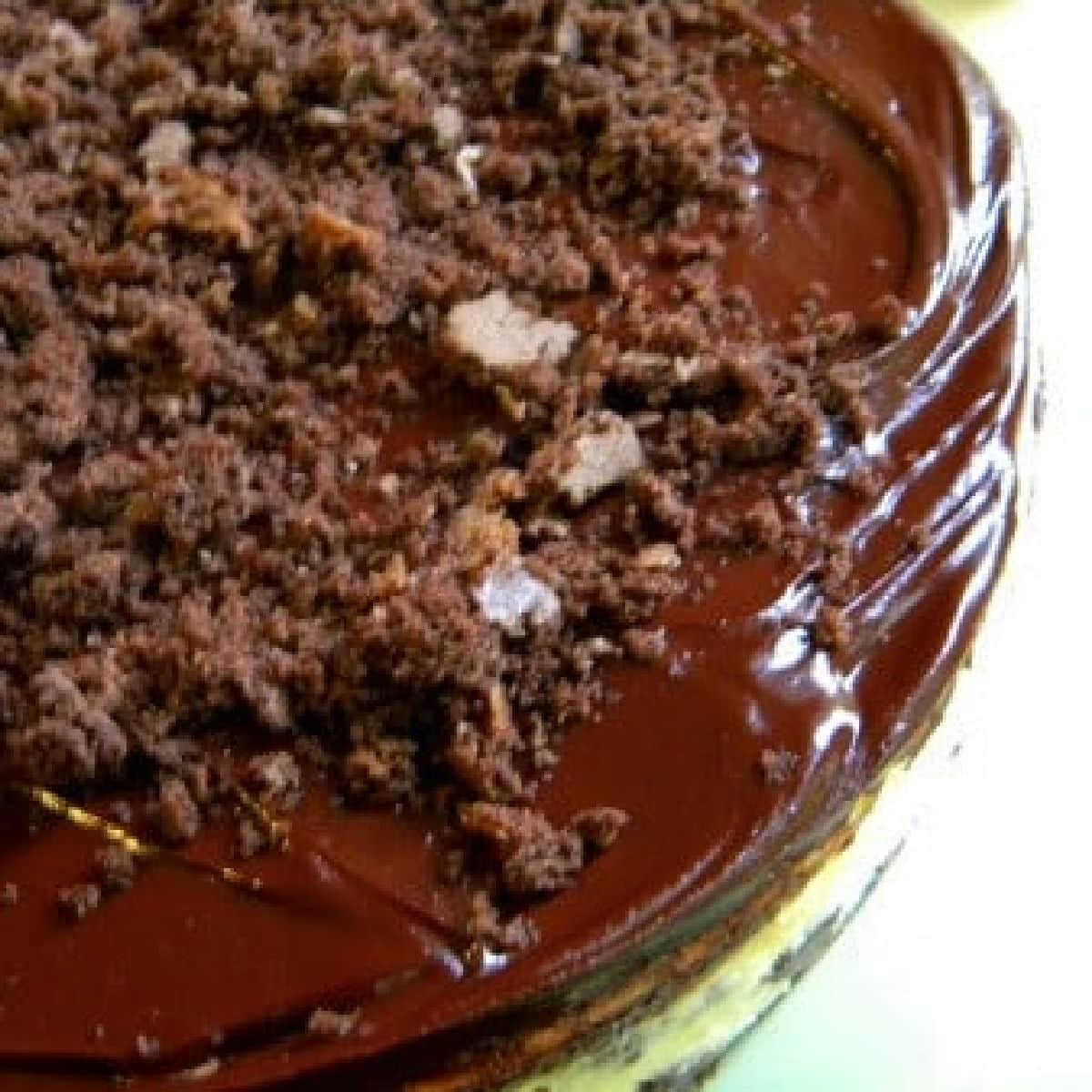 Closeup of the top of the brownie cheesecake with the brownie crumbs over the ganache.