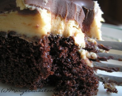 chocolate peanut butter mousse cake