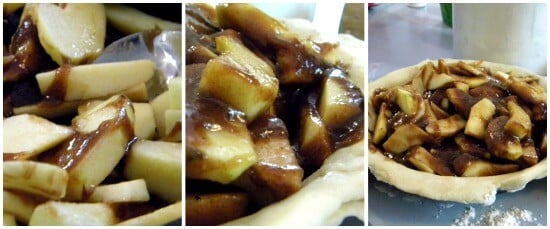 apples-for-pie-2