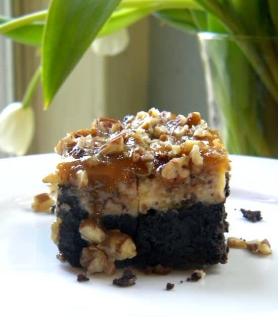 Side image of brownie cheesecake bars with the layers of brownie, cheesecake, and praline topping clearly showing.