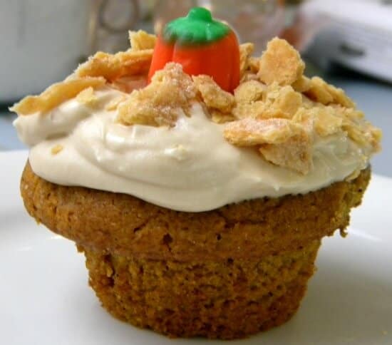pumpkin cupcakes-1 pumpkin cupcake