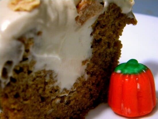pumpkin cupcakes close up pumpkin cupcake