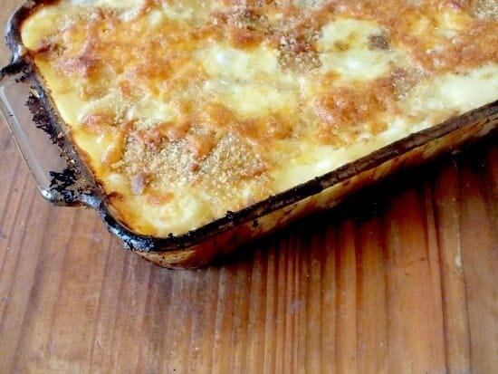 creamy potatoes au gratin