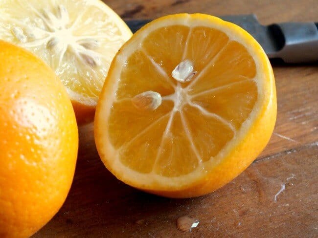 meyer lemon