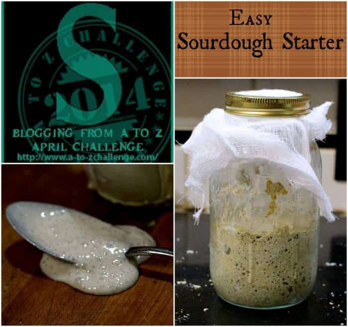 sourdough starter|restlesschipotle.com