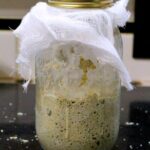 sourdough starter