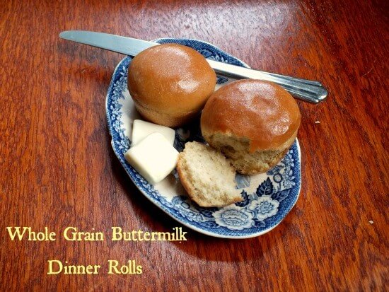 whole wheat dinner rolls|restlesschipotle.com