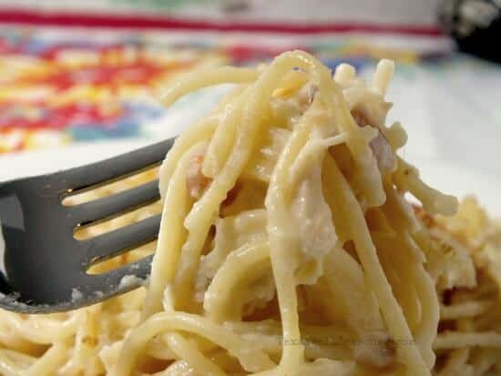 Chicken tetrazzini on a fork.