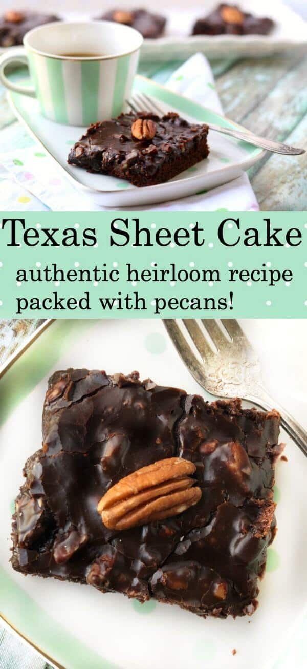 This classic Texas Sheet Cake recipe gives you a dense, thin chocolate cake that\'s almost like a brownie. It\'s an heirloom recipe
made with buttermilk, cocoa and plenty of pecans so that the icing is like fudge candy! #recipe #easy #withbuttermilk #best #restlesschipotle