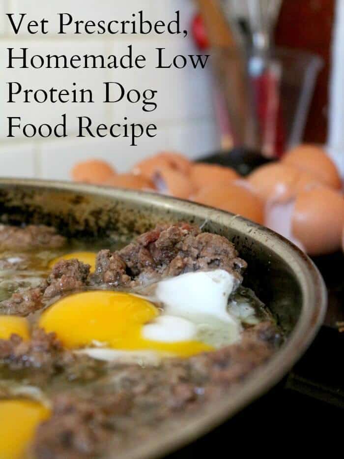 Homemade Dog Food Recipe (Low Protein