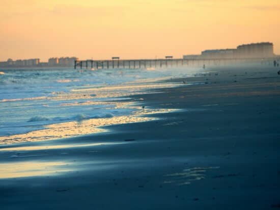Amelia Island beach - and why I made Kalamata olive bread the day before I left - restlesschipotle.com