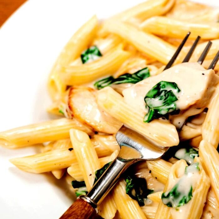 Closeup of grilled chicken Alfredo.