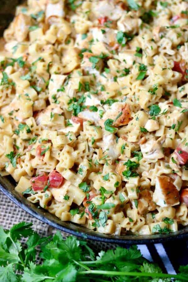 Southwest Chicken Pasta is a family favorite weeknight meal. Tender chicken in a cheesy, southwestern sauce is mixed with pasta and done in 30 minutes. Quick and easy comfort food! From Restlesschipotle.com