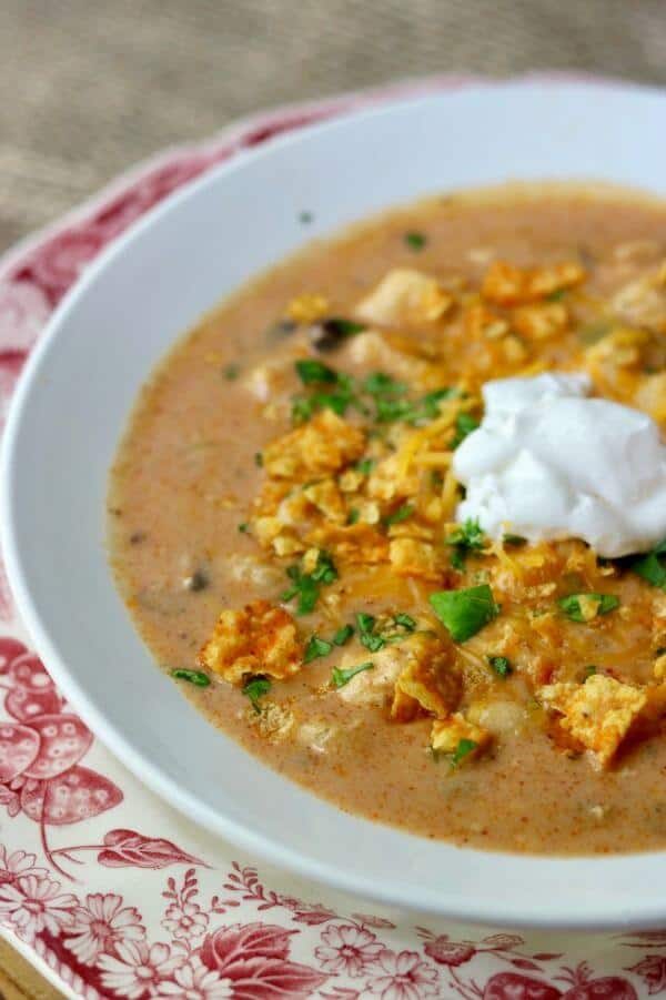 closeup of a bowl of cheesy enchilada soup with fresh green cilantro sprinkled on top