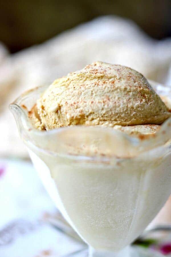 Closeup of a scoop of creamy cinnamon gelato ice cream.