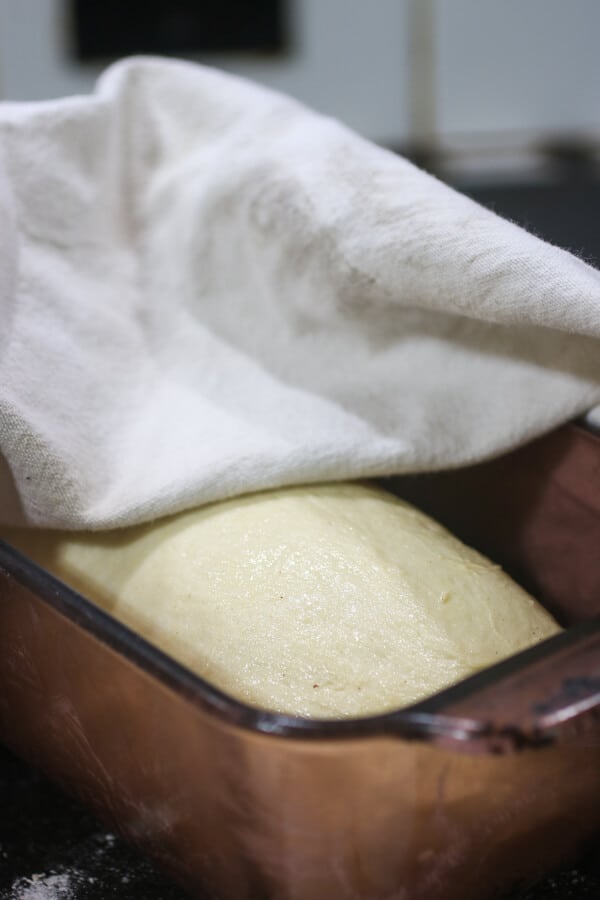 A loaf of bread dough rising