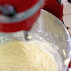 Mix batter until well blended.