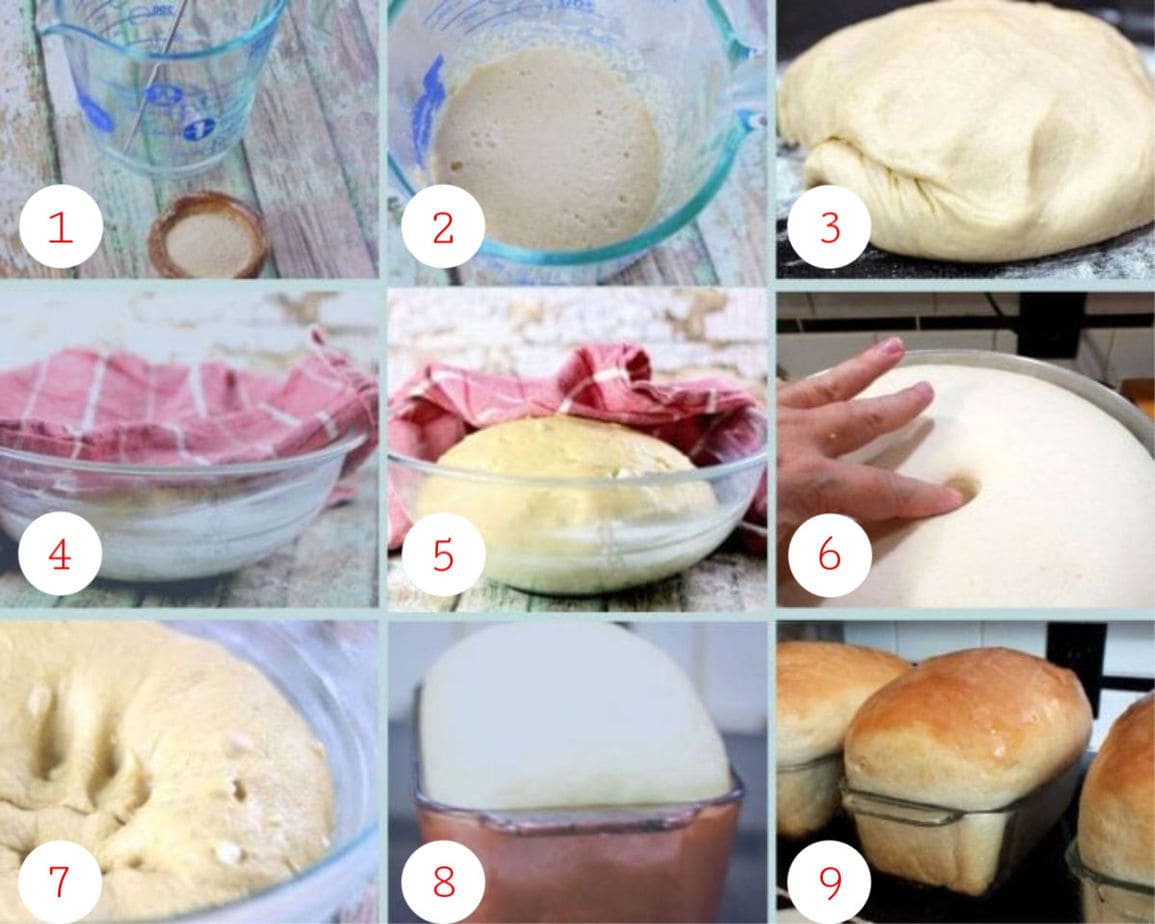 collage of step by step images for making amish white bread