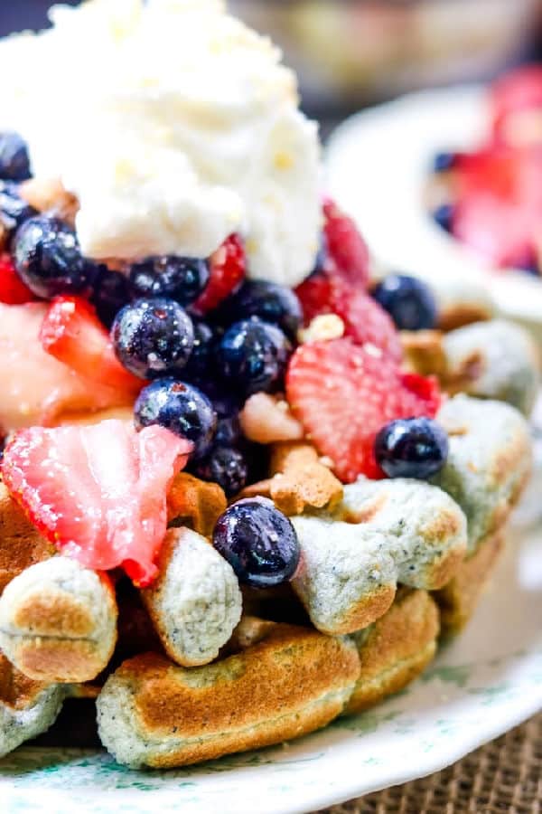 very close image of blue cornmeal waffles showing texture.