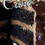 Chocolate mayonnaise cake pinterest image.