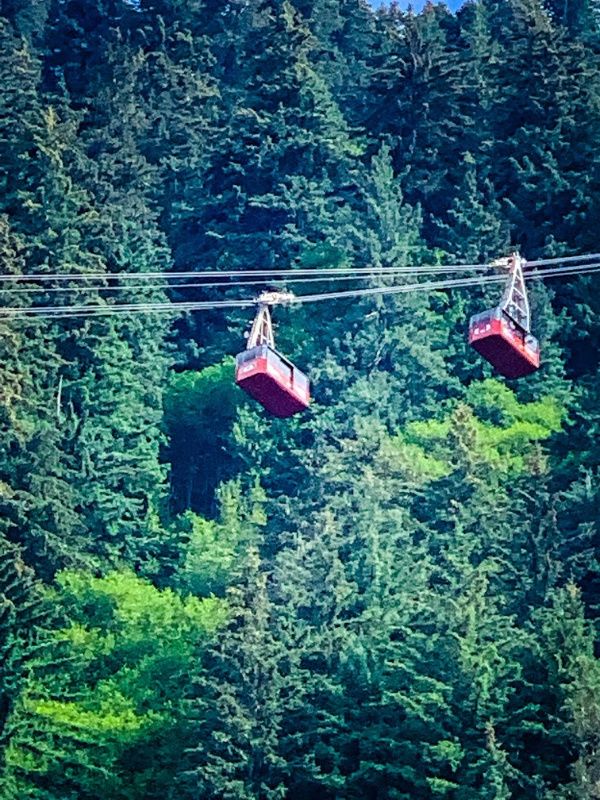 trams going up the mountain at the Mt Roberts Tramway