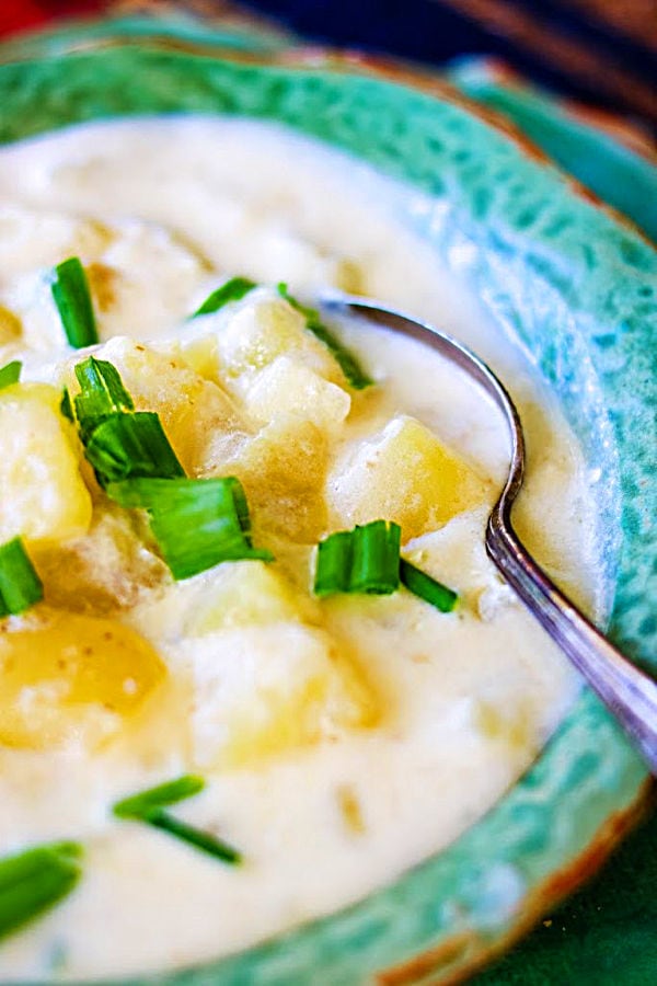 close up of a bowl of potato soup showing potatoes and onions in a creamy broth.