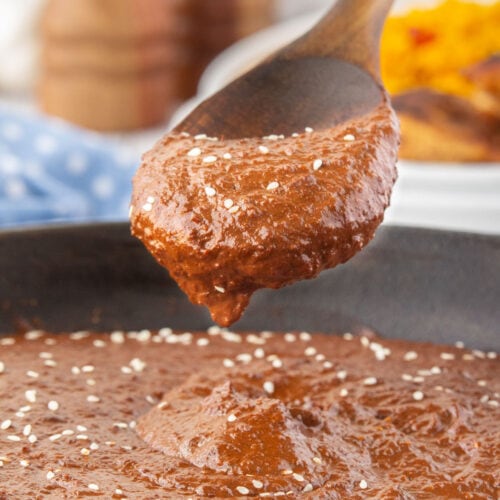 A wooden spoon dipped in thick, rich mole sauce.