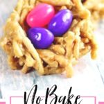 Birds nest cookies on a table with text overlay. This is for pinning to Pinterest.