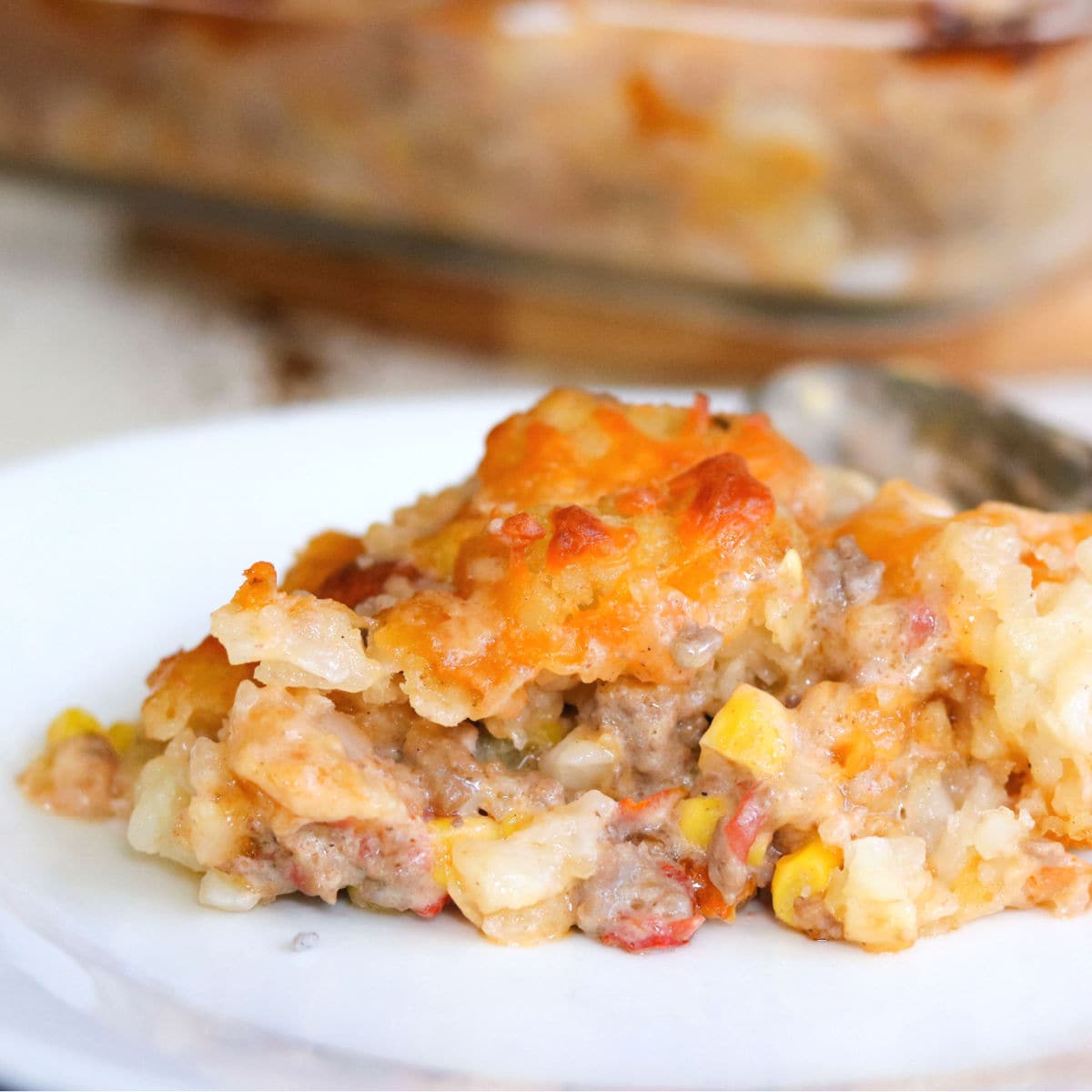 Serving of casserole on a plate showing the finished dish.