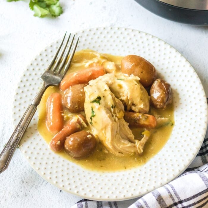 Close up of chicken and gravy on a plate.