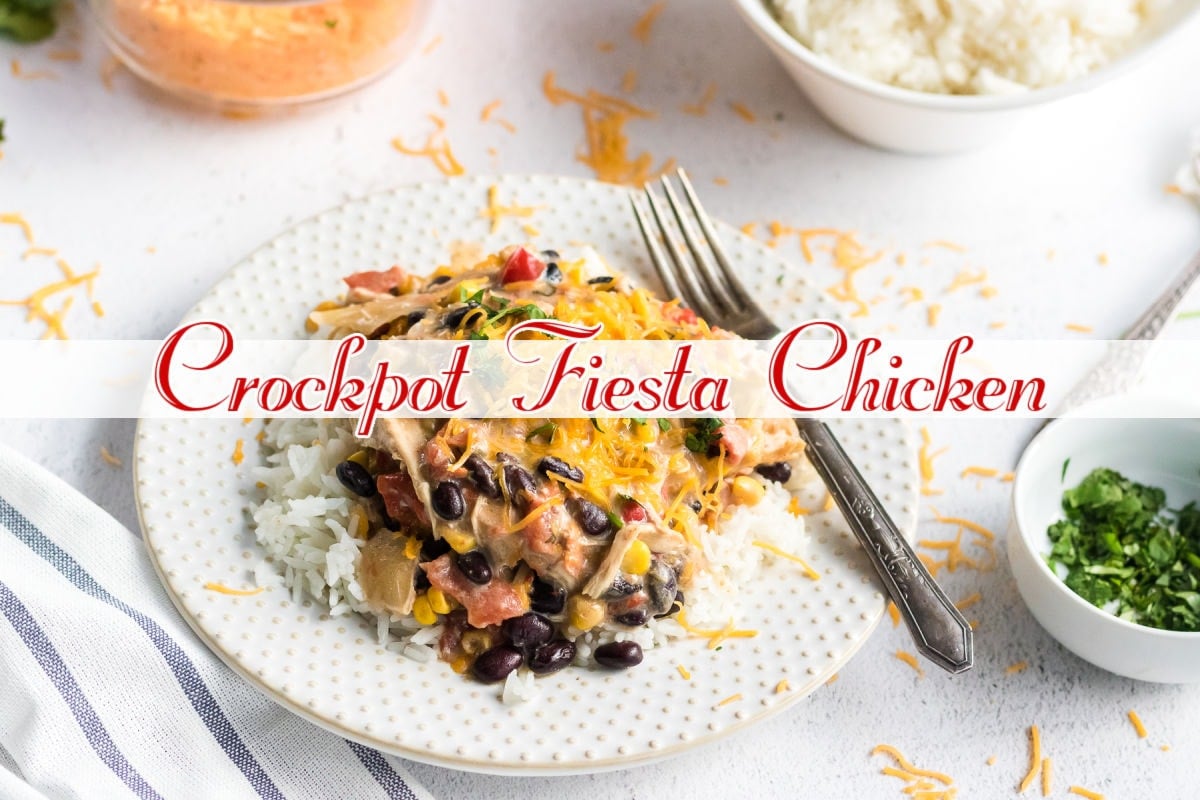 Fiesta chicken over rice on a white plate. Image is clickable and takes you to the YouTube video.