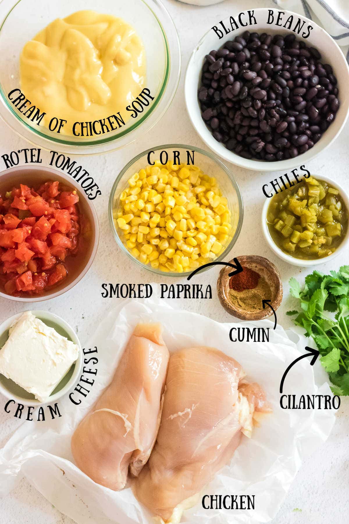 Labeled ingredients for fiesta chicken recipe