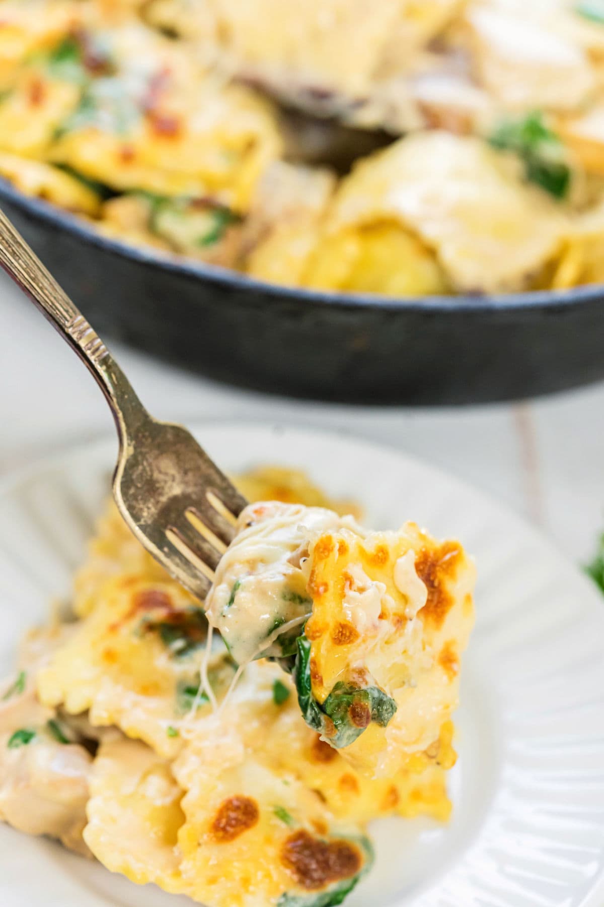 A serving of Alfredo chicken with ravioli on a white plate. A forkful is being lifted up.