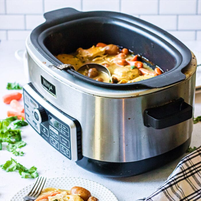 A closeup of a multi-cooker with dinner all finished.