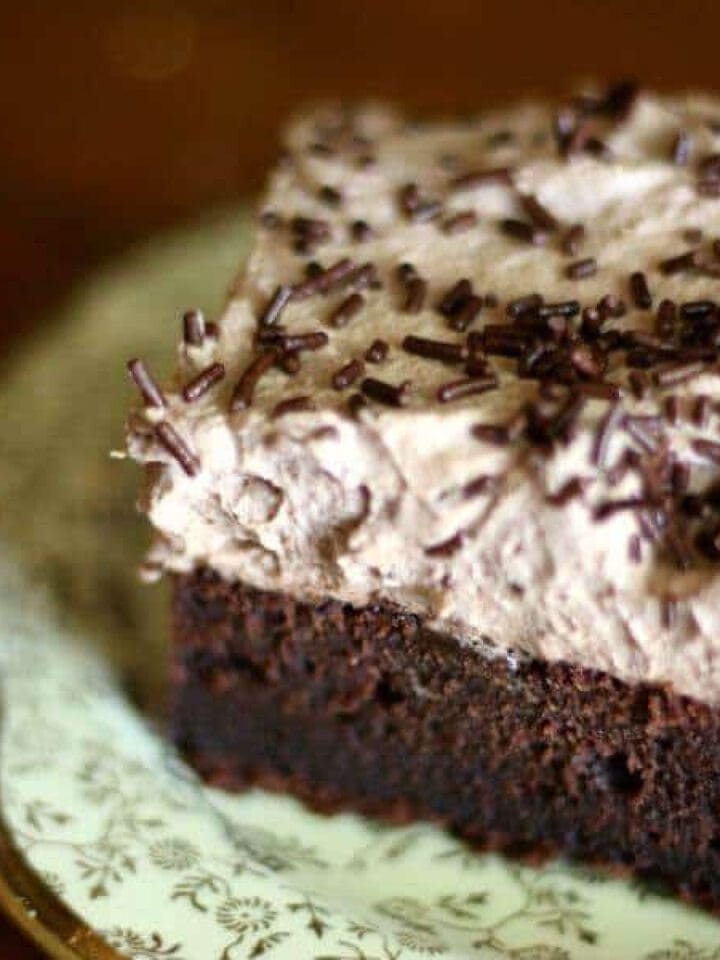 Square serving of chocolate sheet cake with whipped icing.