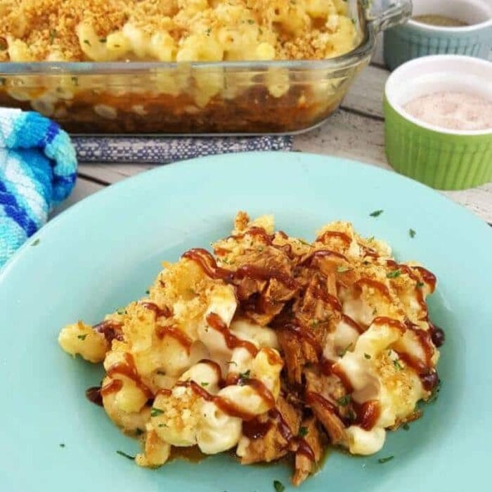 A plate of mac and cheese with pulled pork bbq on top.