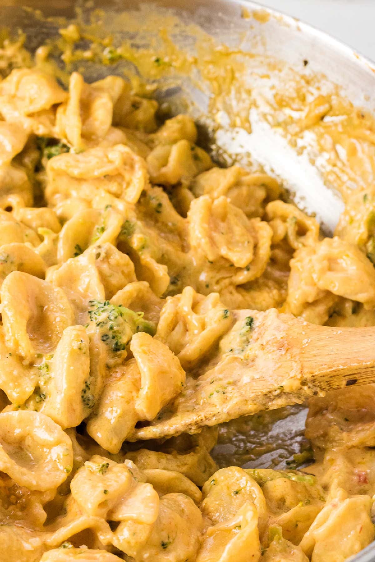Closeup of pasta with broccoli.