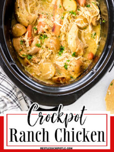Chicken, potatoes, and carrots in gravy ready to be served.
