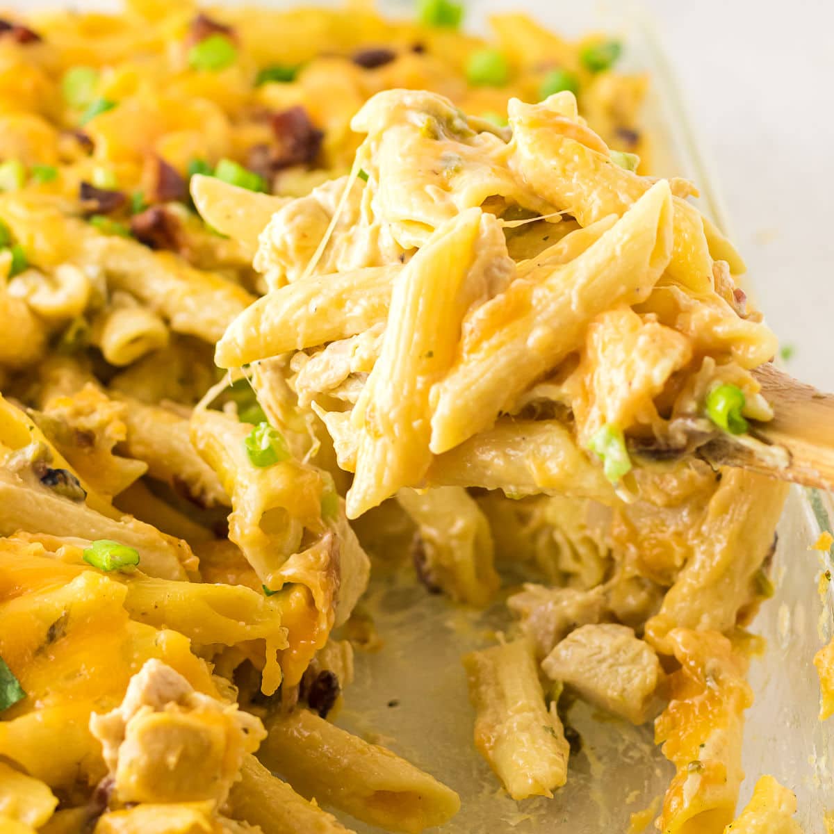 Closeup of the pasta showing the gooey cheese sauce.