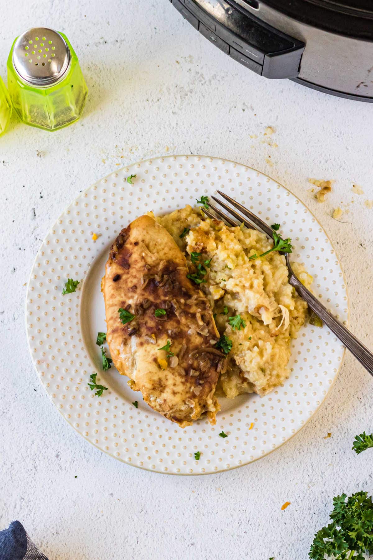 Overhead view of a plate of chicken and rice.