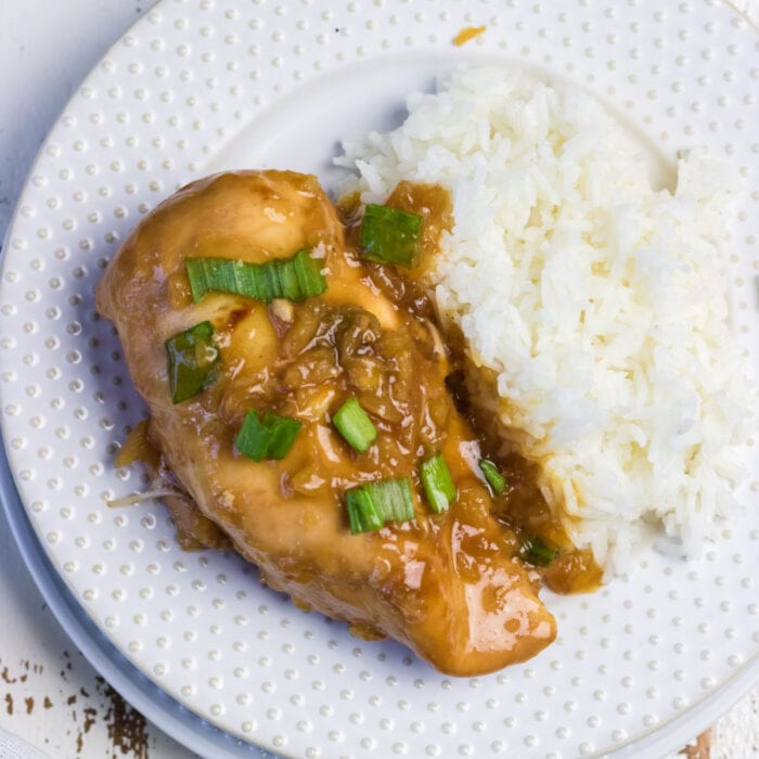 Closeup of cooked teriyaki chicken breast.