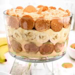 A cropped view of this recipe in a glass bowl for the feature image.