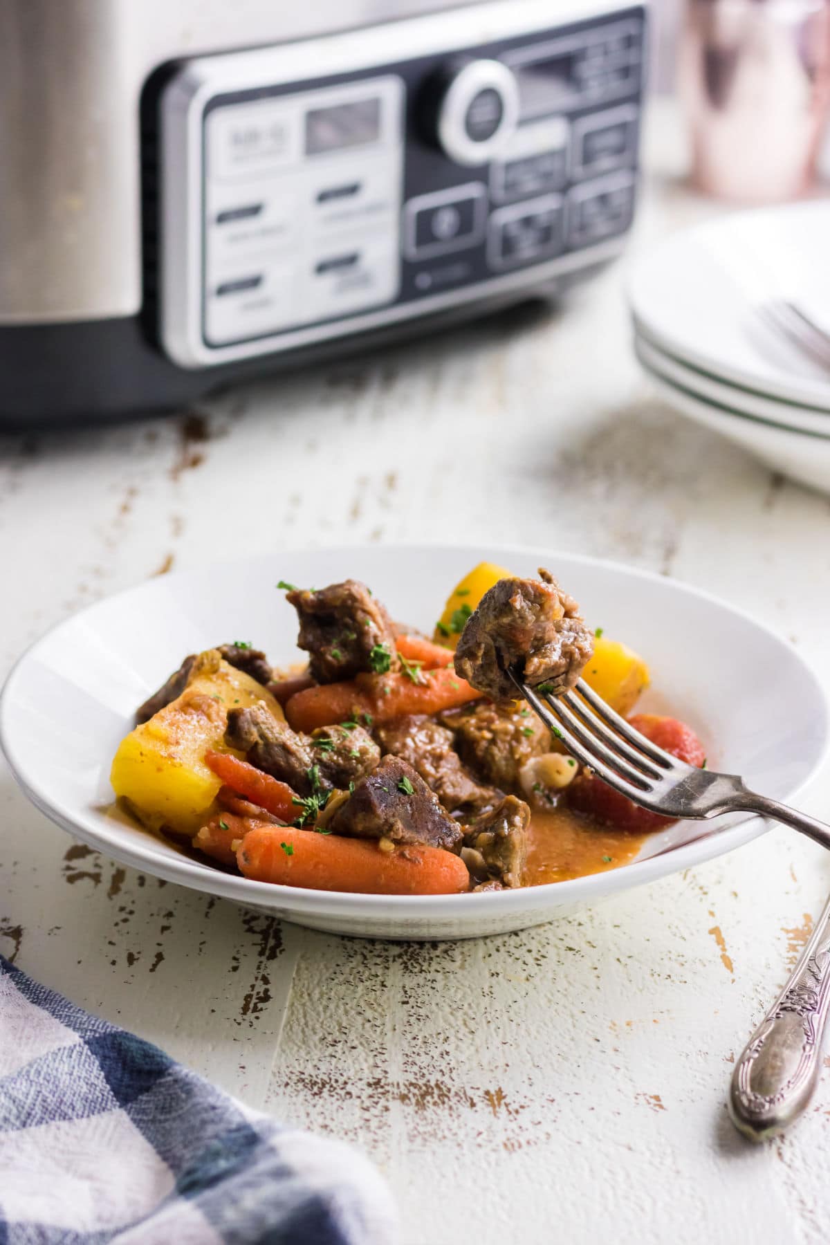 Side view of stew in a bowl with slow cooker in the background.