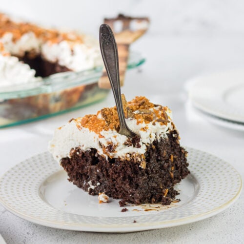 A closeup of a square of cake.