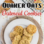 Overhead view of oatmeal cookies on a white plate with text for Pinterest.