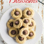 Overhead view of cookies with text overlay for Pinterest.